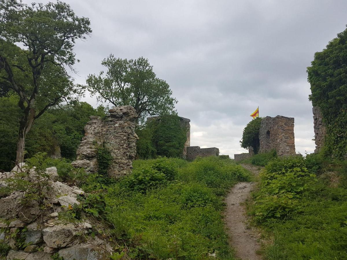 Ferienwohnung Hegau- Bodensee Og Muhlhausen-Ehingen Екстериор снимка